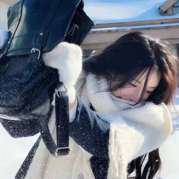 海燕双飞